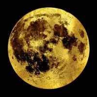 Golden Moon - Profile Image