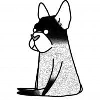 Kat Tatt - Profile Image