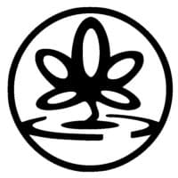 Masáže orientální a klasické - Profile Image
