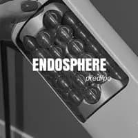 NK STUDIO Endosphere - Profile Image