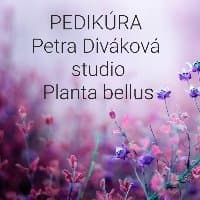 Planta bellus  - Profile Image