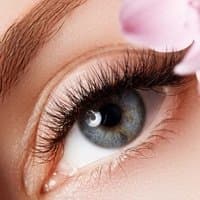 Anna lashmaker Prague - Profile Image
