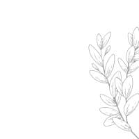 nikōrero · massage spot - Profile Image
