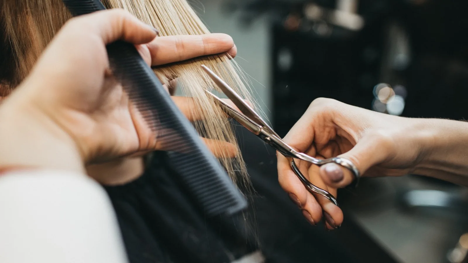 hair cut – ukázka práce