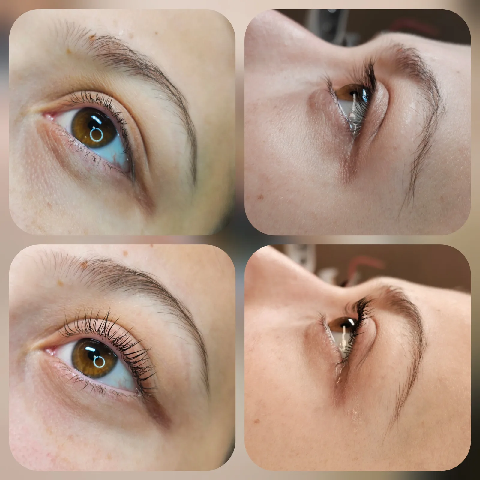 Lash lifting – ukázka práce, Kosmetický salon Life Style