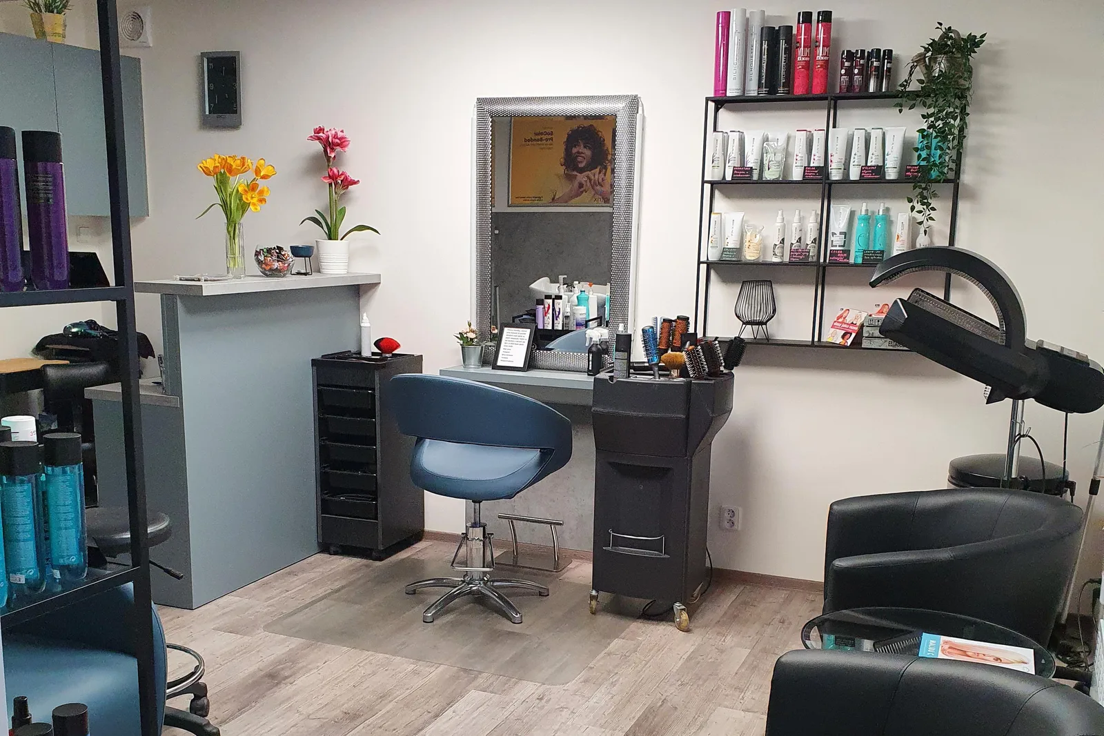 Vlasove studio Eva – interiér salonu
