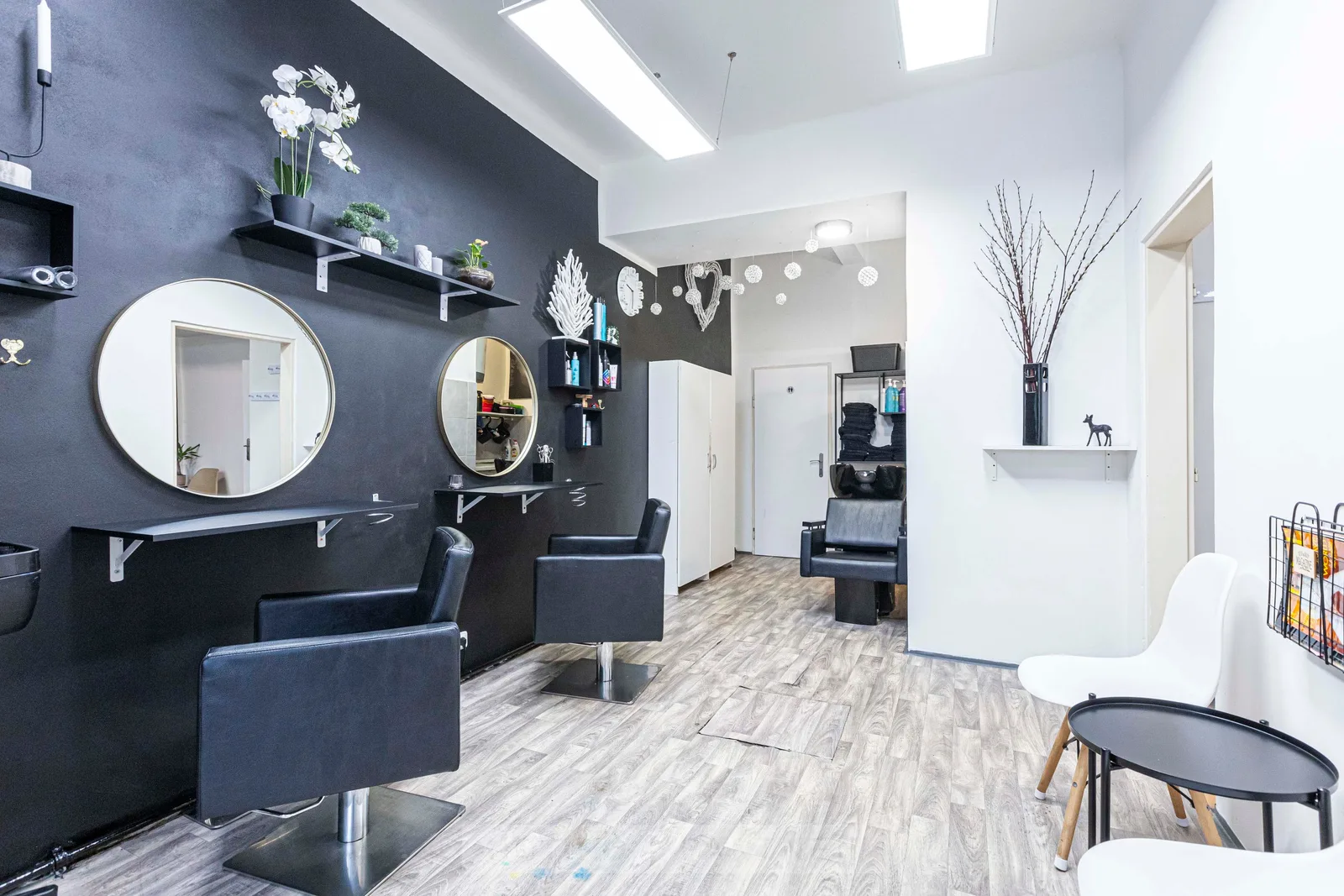 Přírodní kadeřnice – interiér salonu