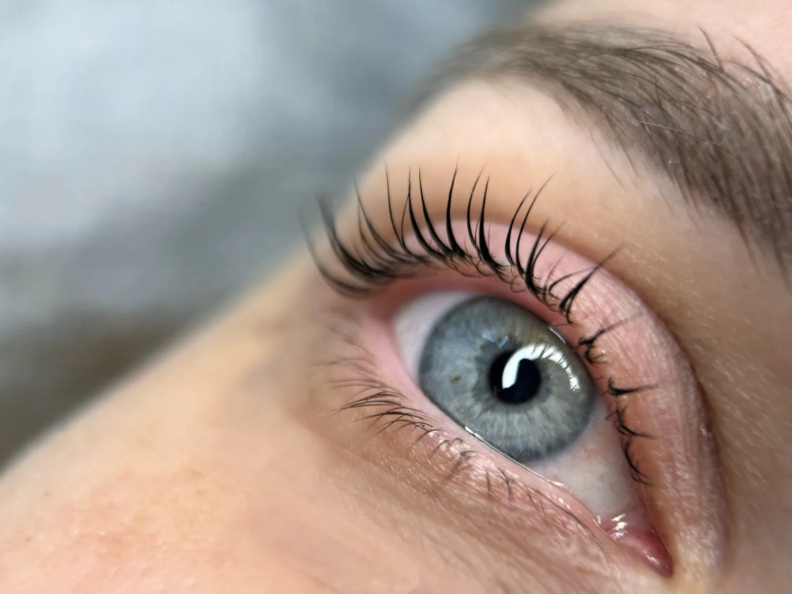Lash lifting + barvení řas + botox řas – ukázka práce, salon YuliAnna