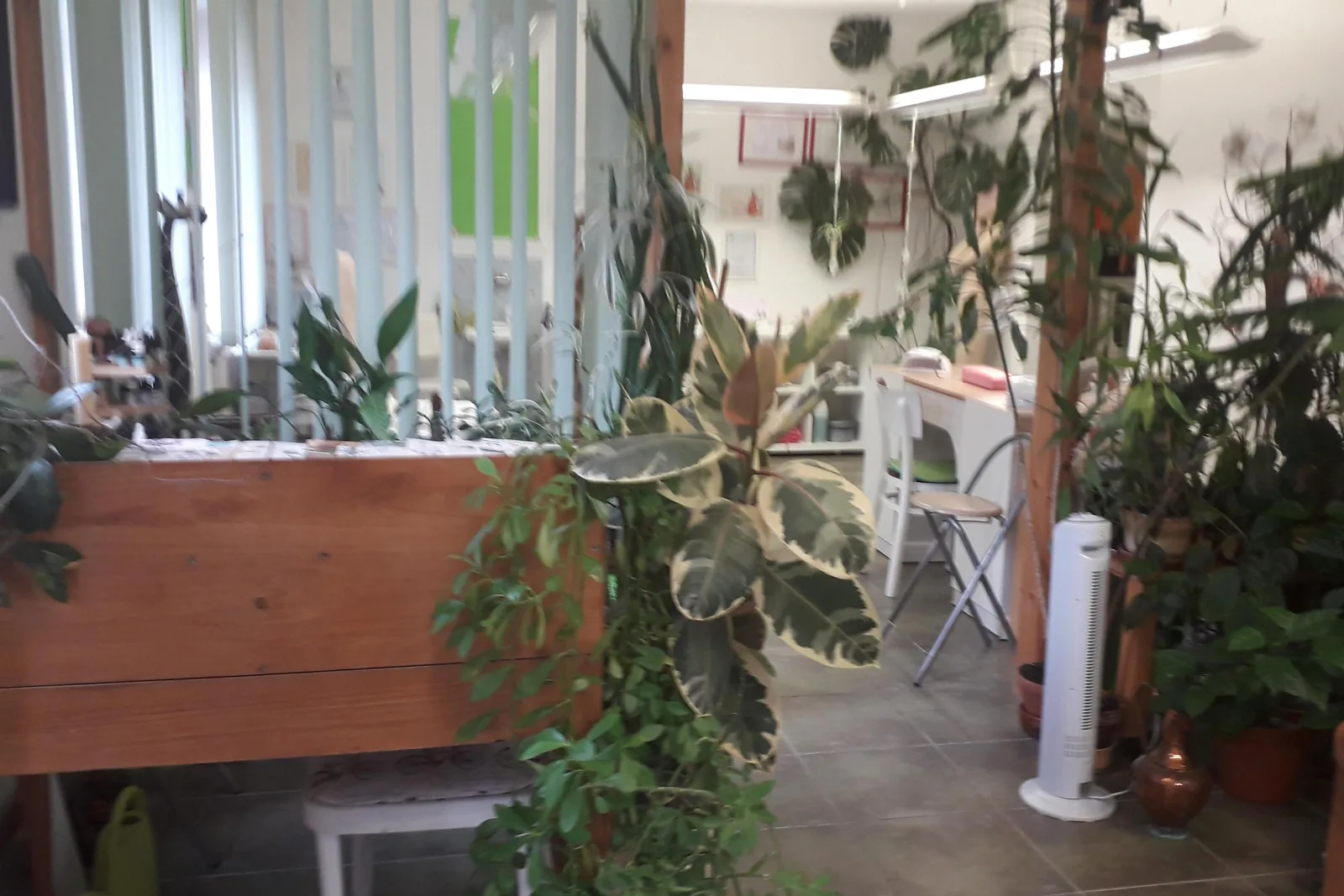 LV STUDIO – interiér salonu