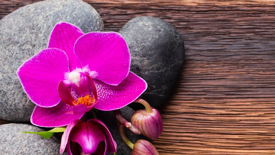 ÁJURVEDA LITOMYŠL - Gallery Image 1