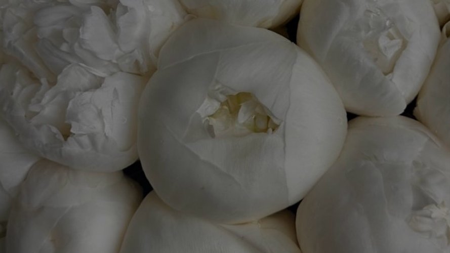 Amenity Beauty - Gallery Image 1