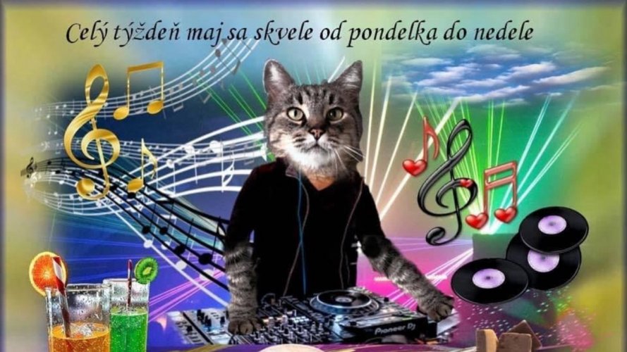 DanekBarber - Gallery Image 1