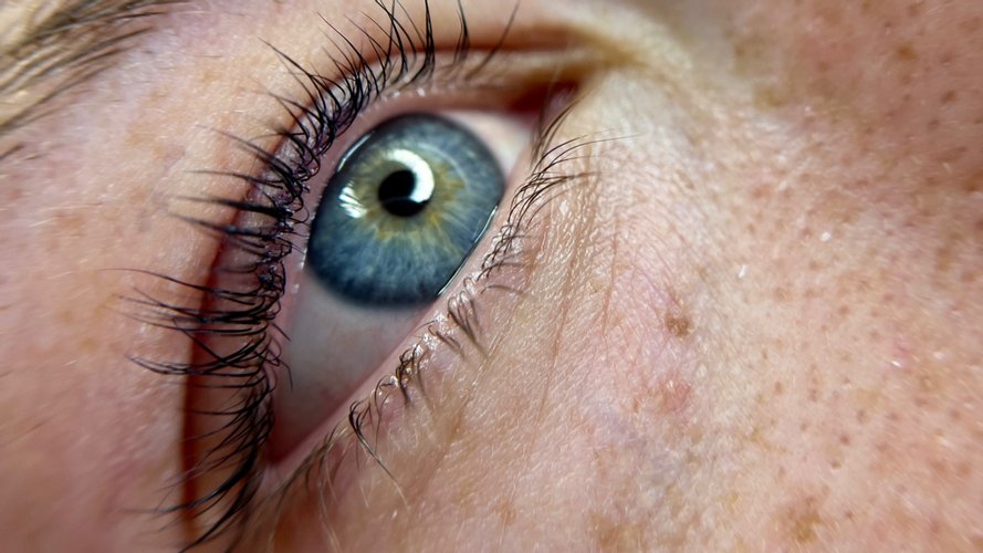 LE MICHELE - Gallery Image 1