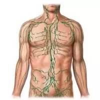 Masáže M.G. Ostrava