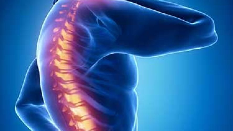 Masáže Přerov-Žeravice-NÁPRAVA POHYBOVÉHO APARÁTU - Gallery Image 1