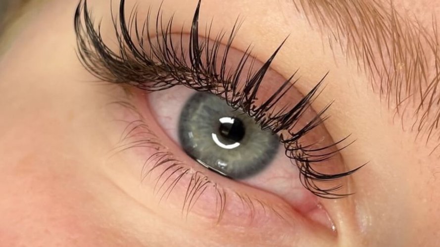 NALAsh - Gallery Image 1