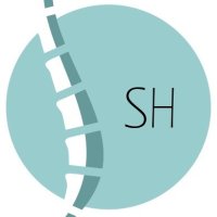 SH terapie